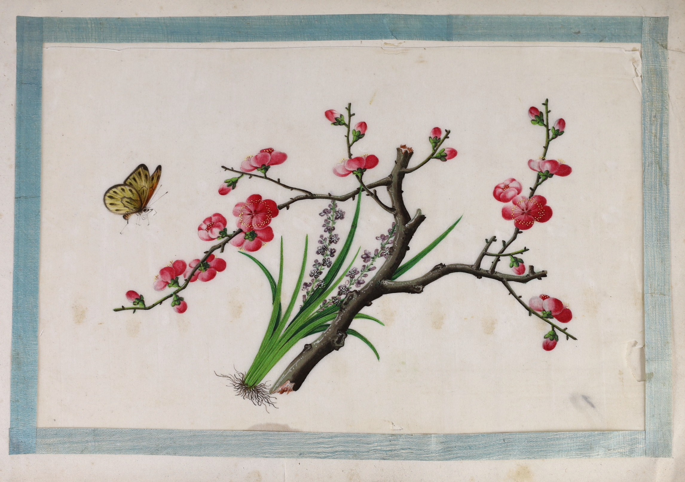 Two Chinese albums of pith paintings, 19th century, 25cm x 32cm